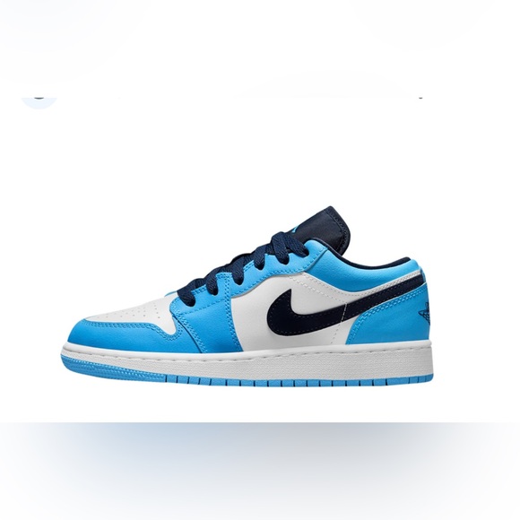 Nike Other - Air Jordan Low 1 Blue and White